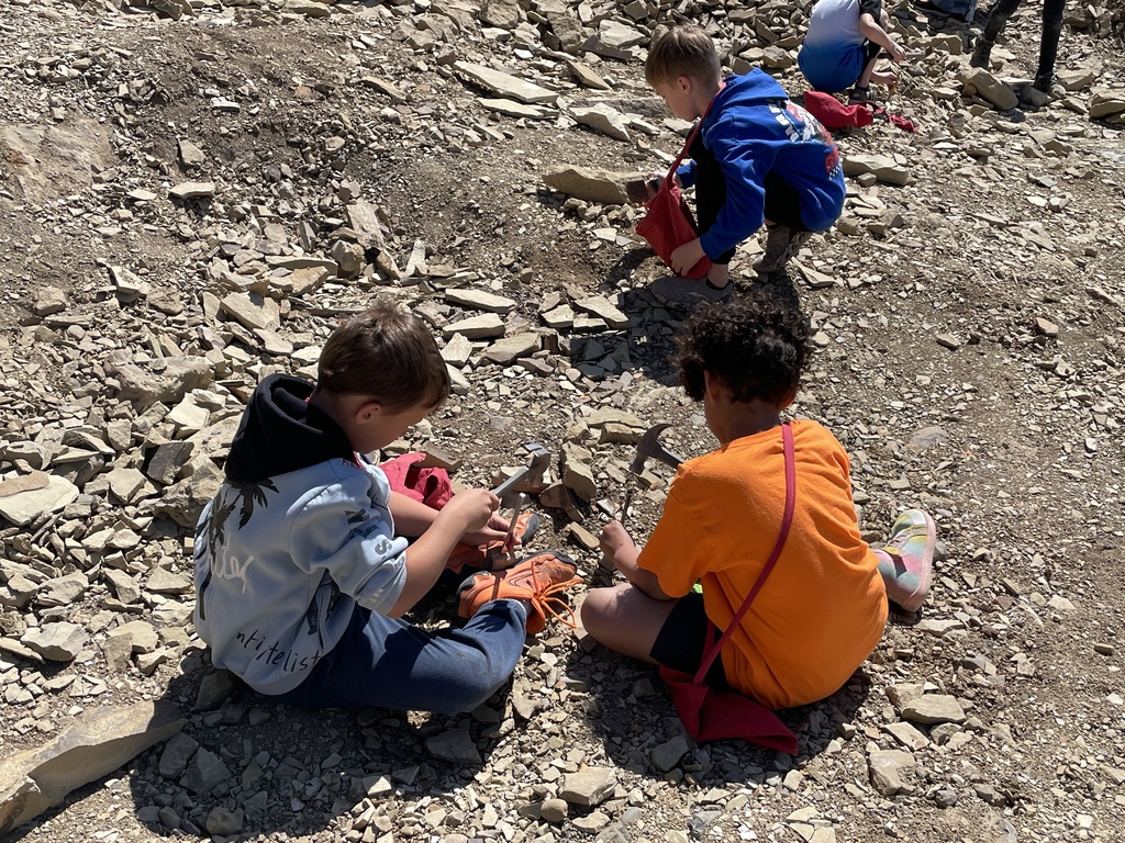 fossils