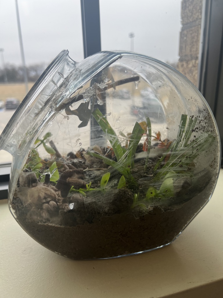 Terrarium