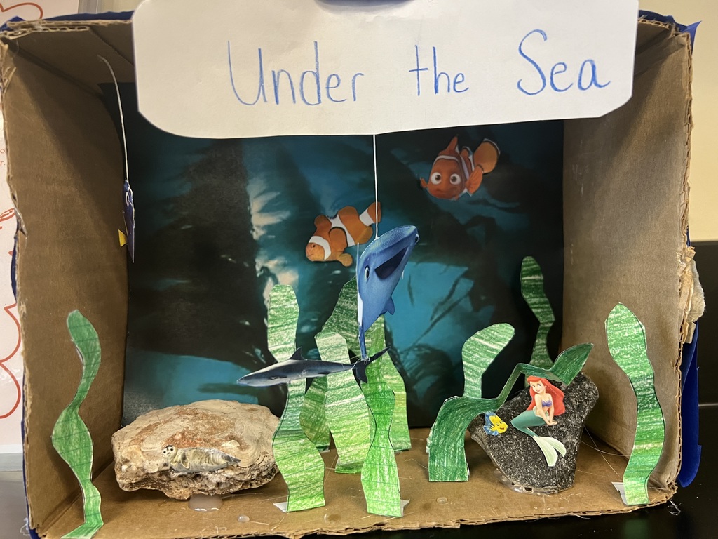 Under the Sea