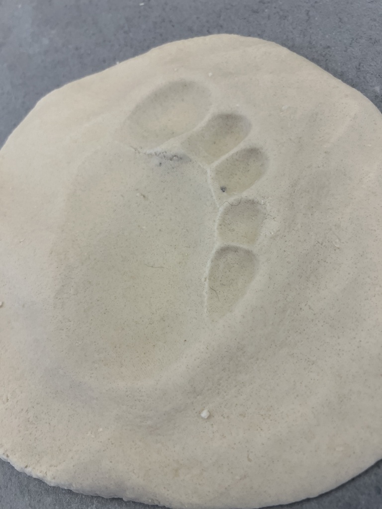 footprint