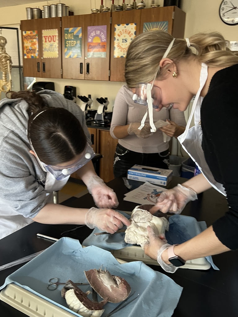 Addy &  Lainee again