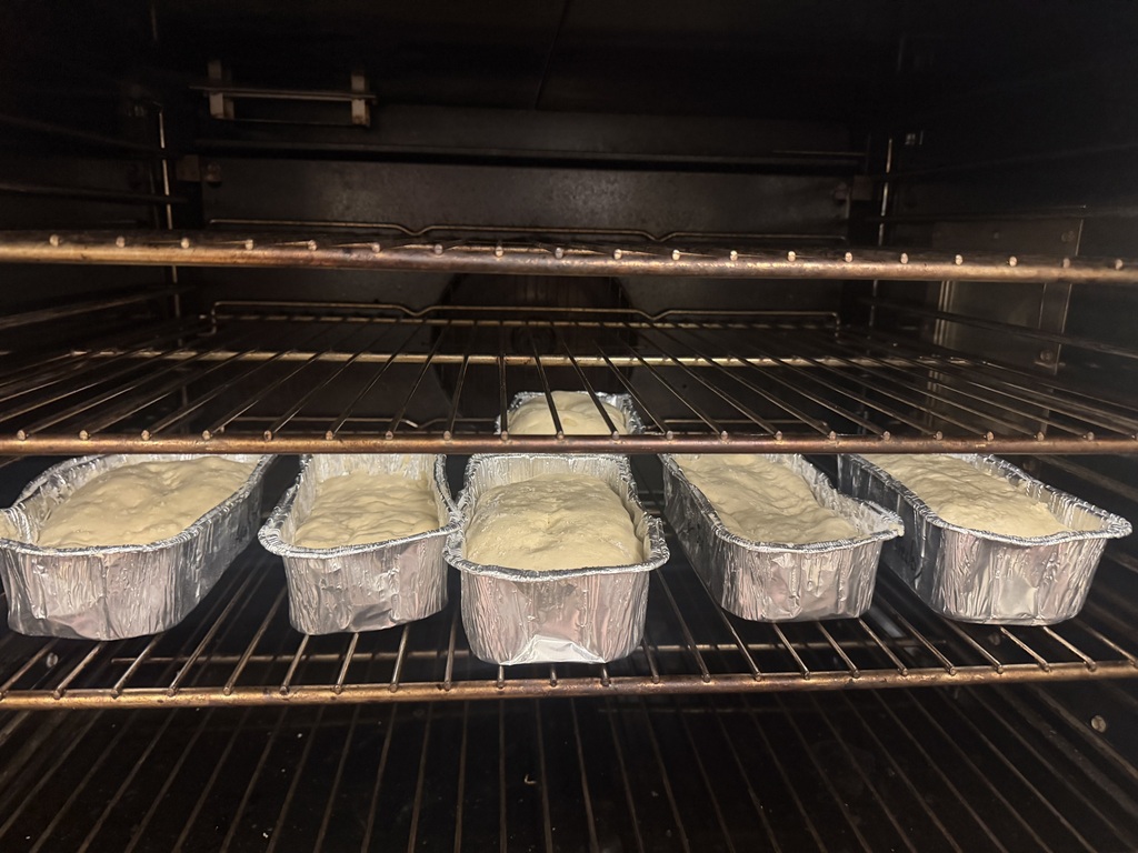 oven