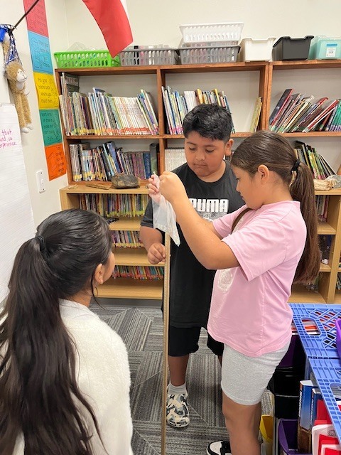 3rd grade scientists