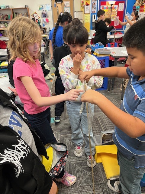 3rd grade scientists