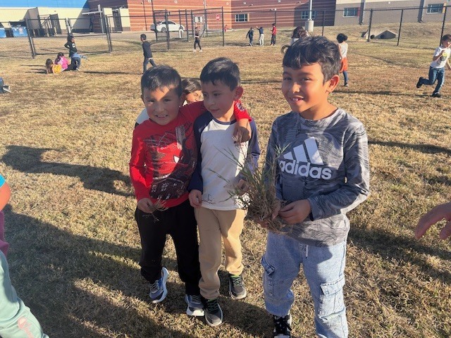 1st graders investigating plants