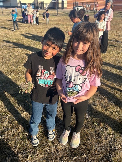 1st graders investigating plants