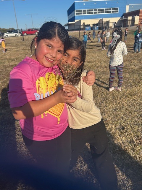 1st graders investigating plants