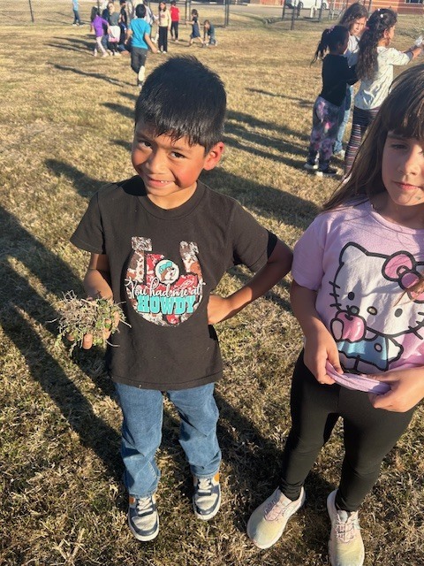 1st graders investigating plants