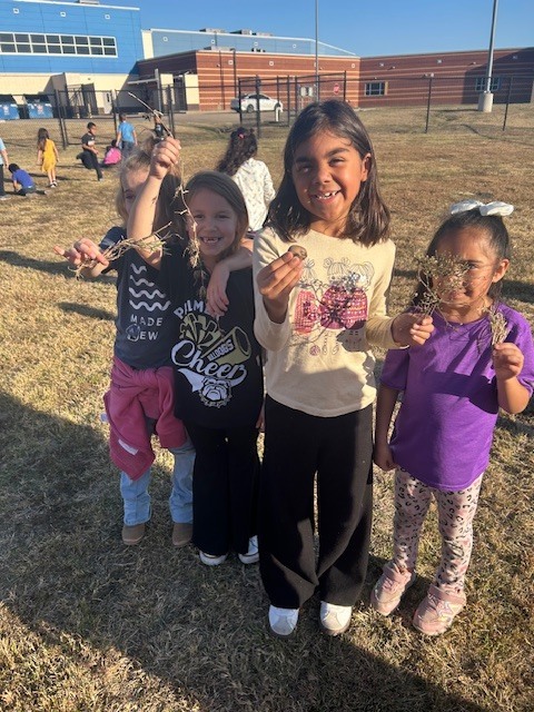 1st graders investigating plants