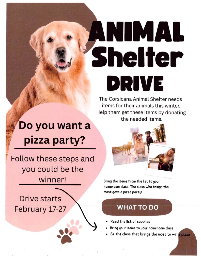 Animal Shelter Drive Flyer English