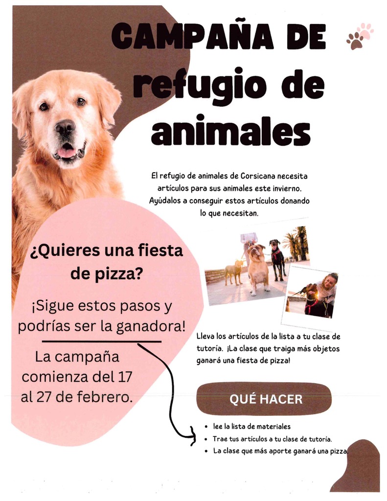 Animal Shelter Drive Flyer English