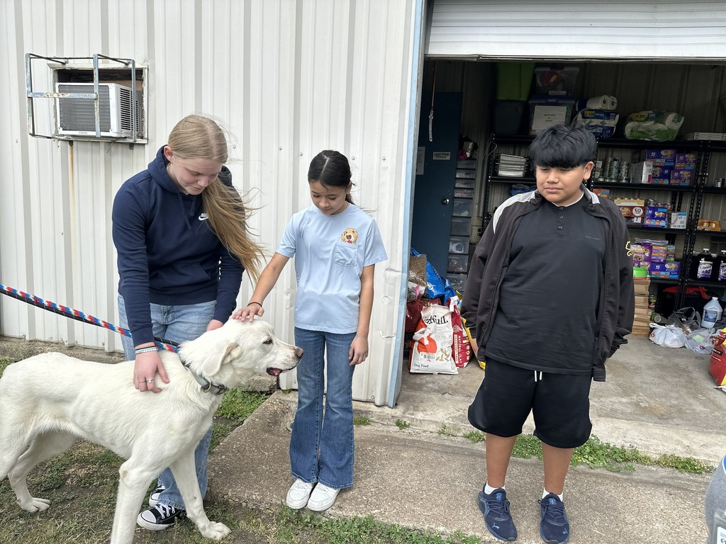 6th graders donated to the animal shelter