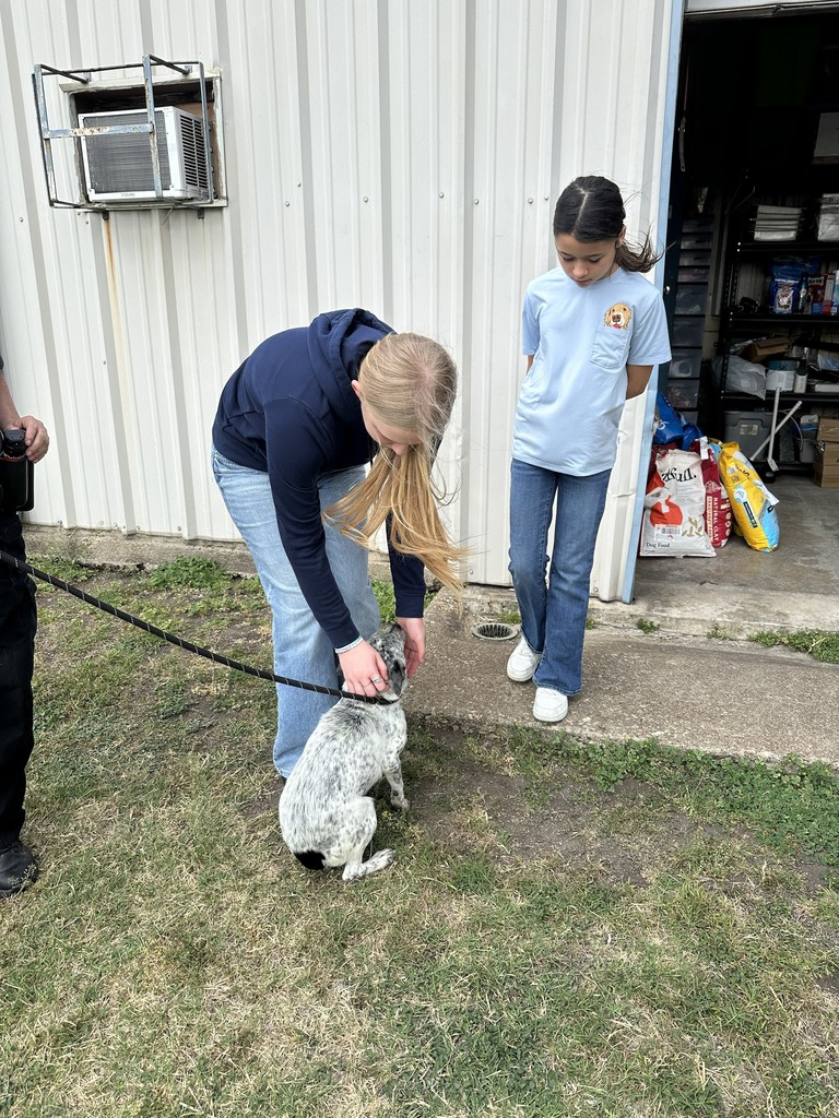 6th graders donated to the animal shelter