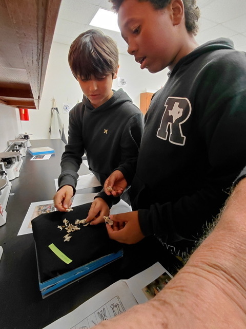 6th grade science students