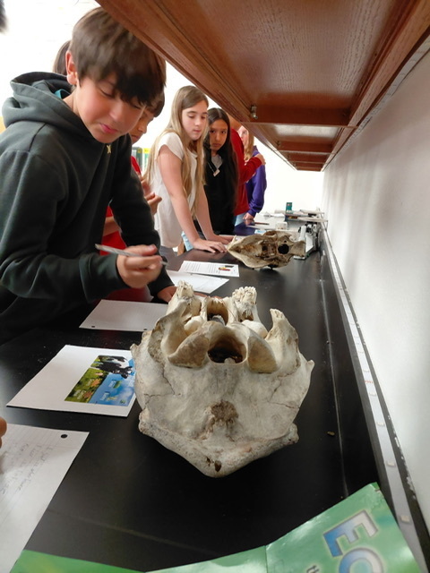 6th grade science students