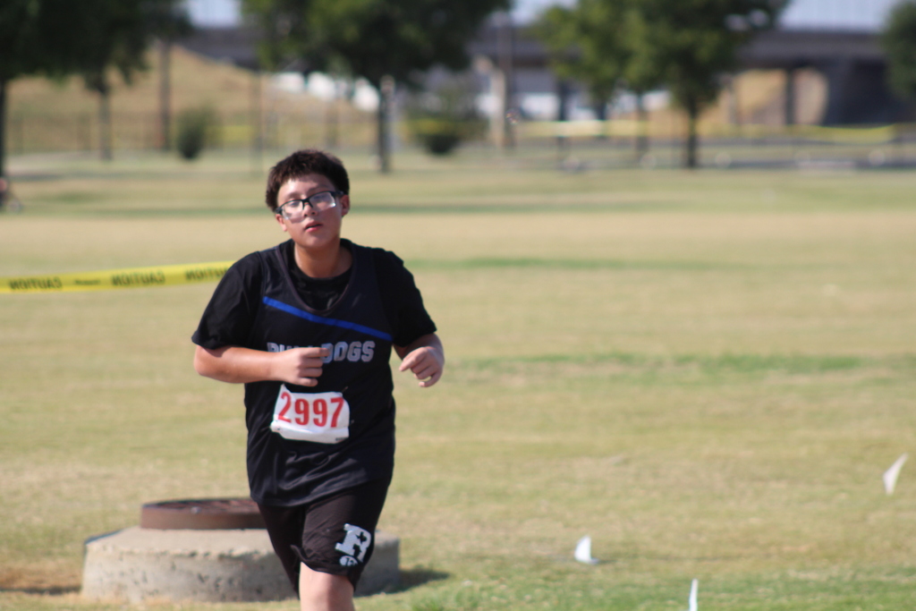 cross country runner