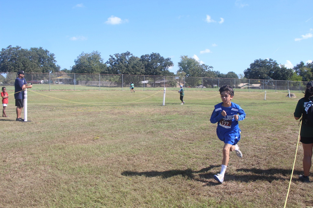 Jh cross country runners