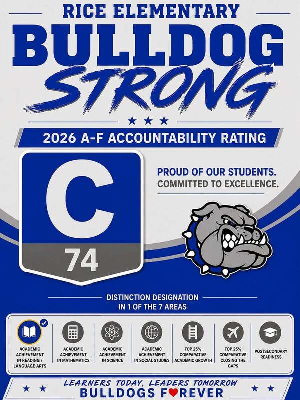 Elementary rating flyer