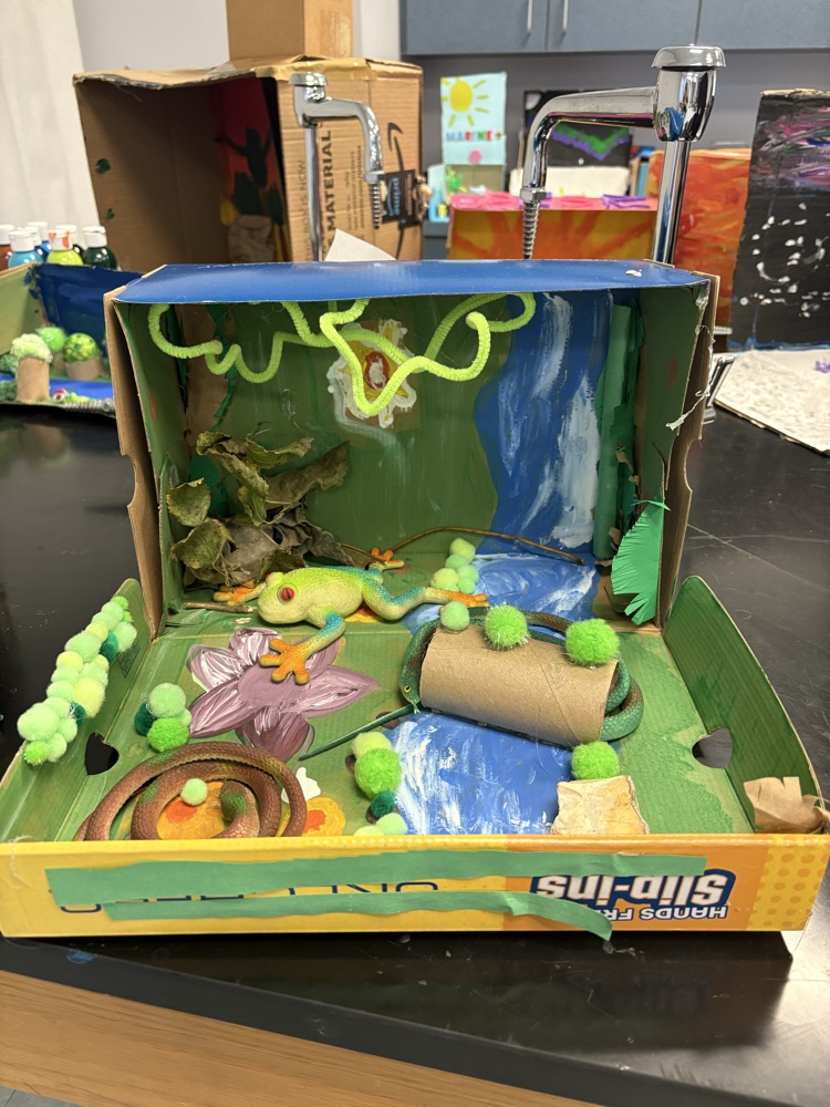 Ava and Aalarah’s rainforest biome