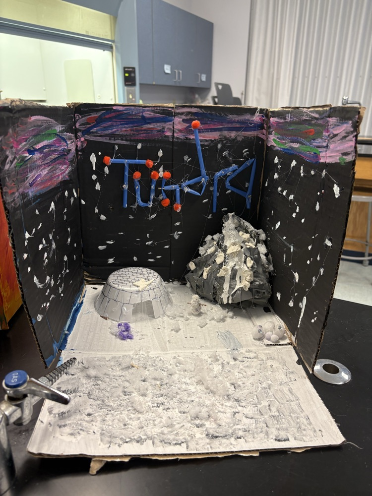 Hayden and Allie’s tundra biome