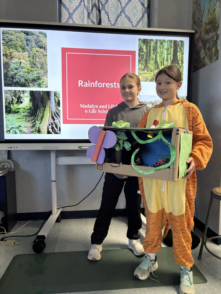Madalyn and Lilah’s rainforest biome