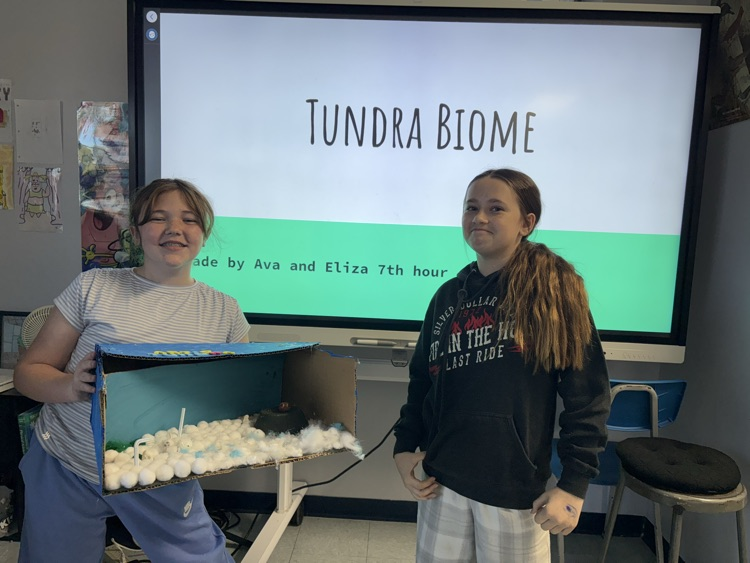 Eliza and Ava’s tundra biome
