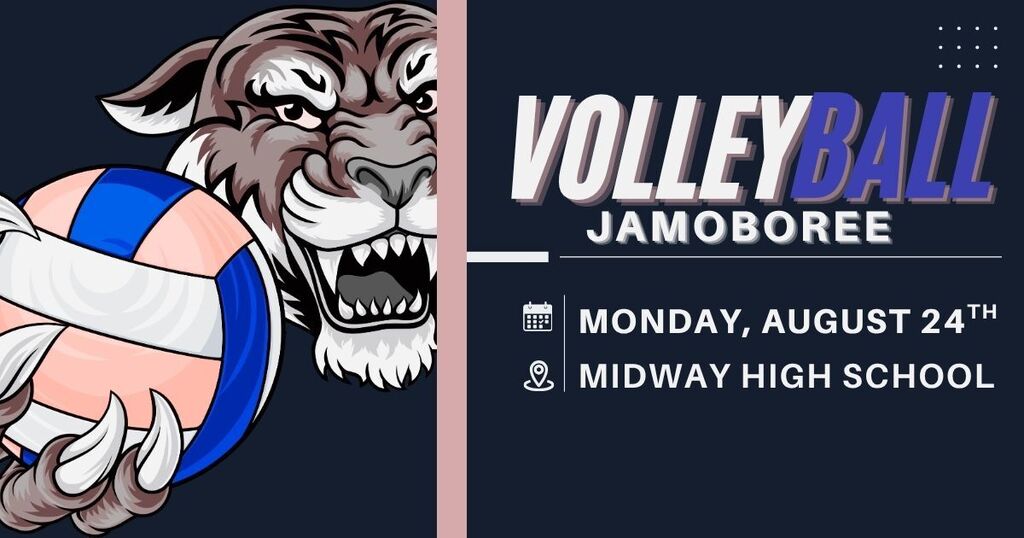 volleyball