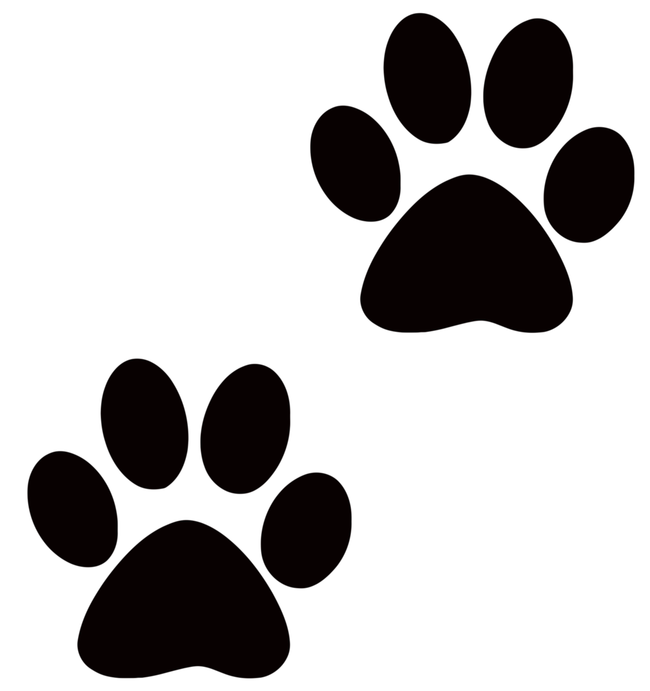 PAWS Meeting