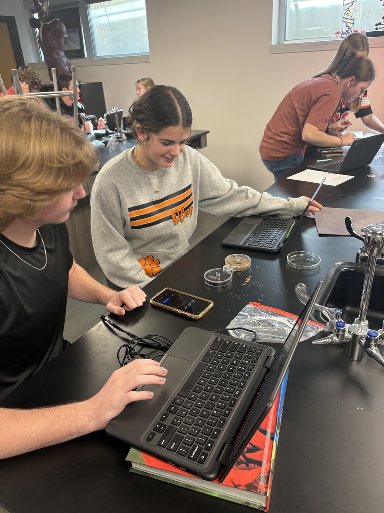 Pillbug lab