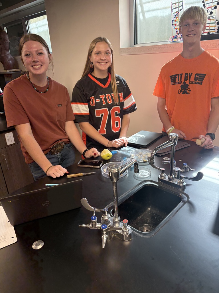 Pillbug lab