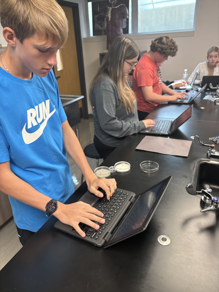Pillbug lab