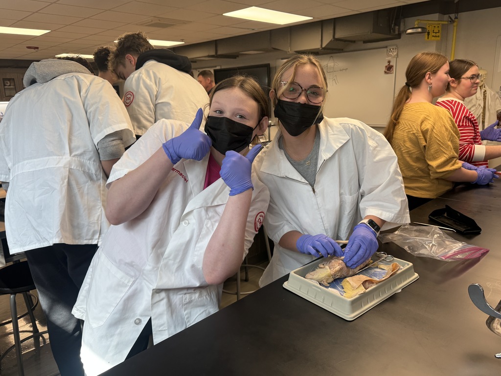 Dissecting Rats