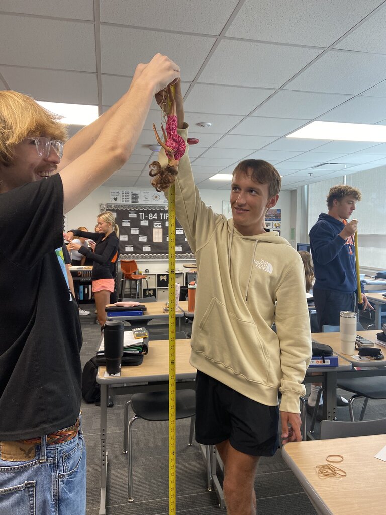 Burris' math