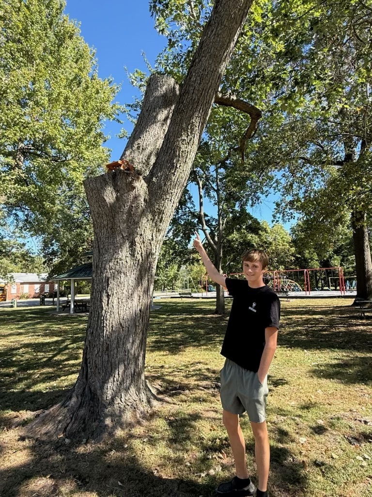 Squirrel