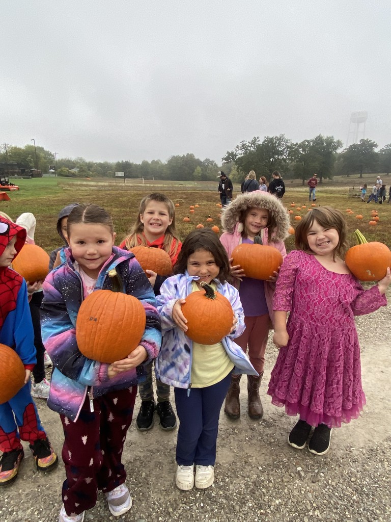 pumpkin patch