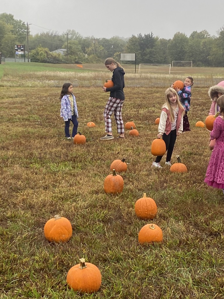 pumpkin patch