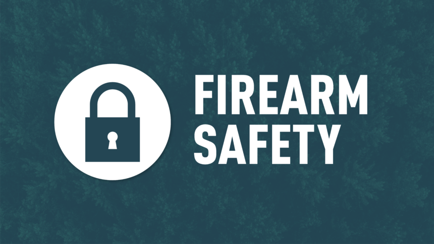 Firearm Safety image