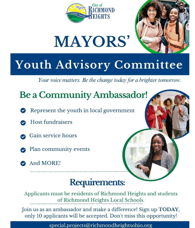 youth advisory committee