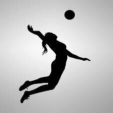 volleyball 