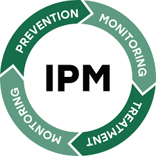 IPM