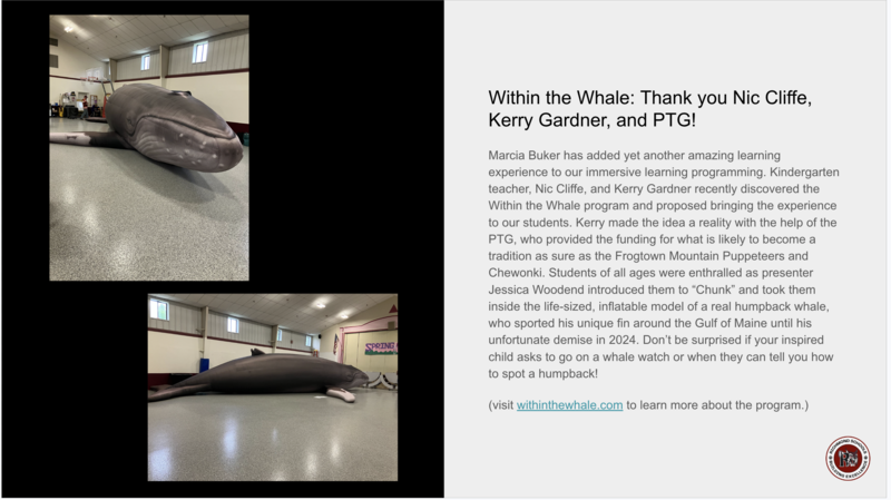 Within the Whale