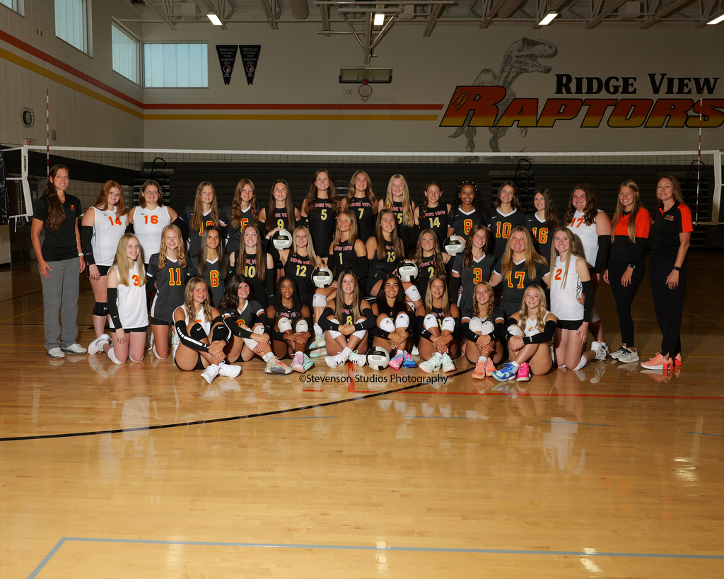 volleyball