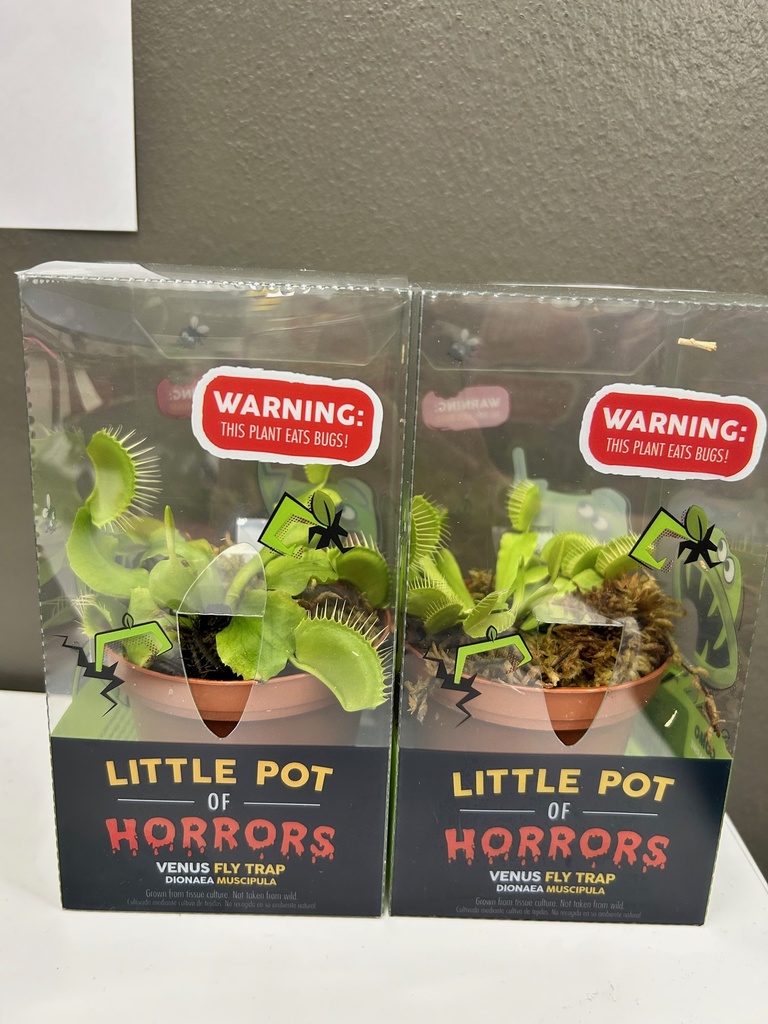 Venus Fly Traps
