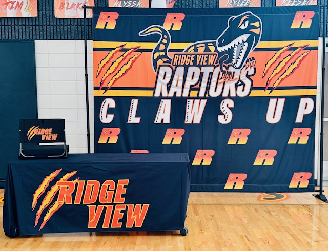 backdrop and table cloth