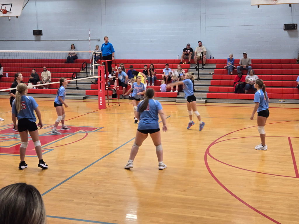 VB
