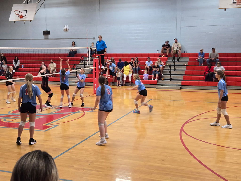 VB