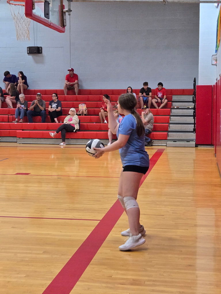 VB