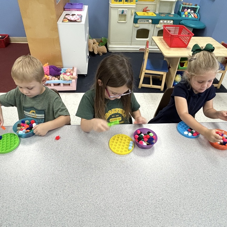 Learning Shapes