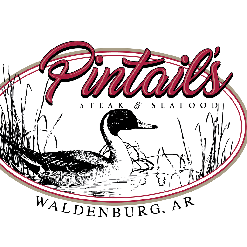 Pintail's