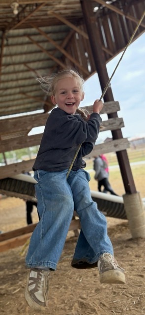 Swing
